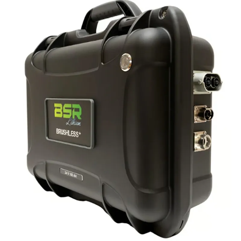 BSR Batteries & Chargeurs^Batterie Lithium Prestige Lifepo4 Gen3+ Spécial Brushless 24V100ah +1 Sortie Régulée Sondeur Et Chargeur Non Étan