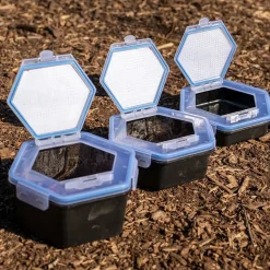 Zebco Appâts - Amorces^Boîte À Appâts Secure-Lock Bait Box
