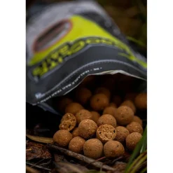 Pro Elite Baits Appâts Carpe^Bouillette Boilies Natural Foods Squid & Octopus
