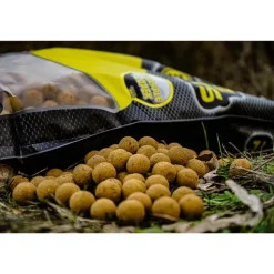 Pro Elite Baits Appâts Carpe^Bouillette Boilies Classic Pineapple & Scopex