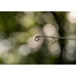 Canne Carpe Avid Carp Elevate Rods