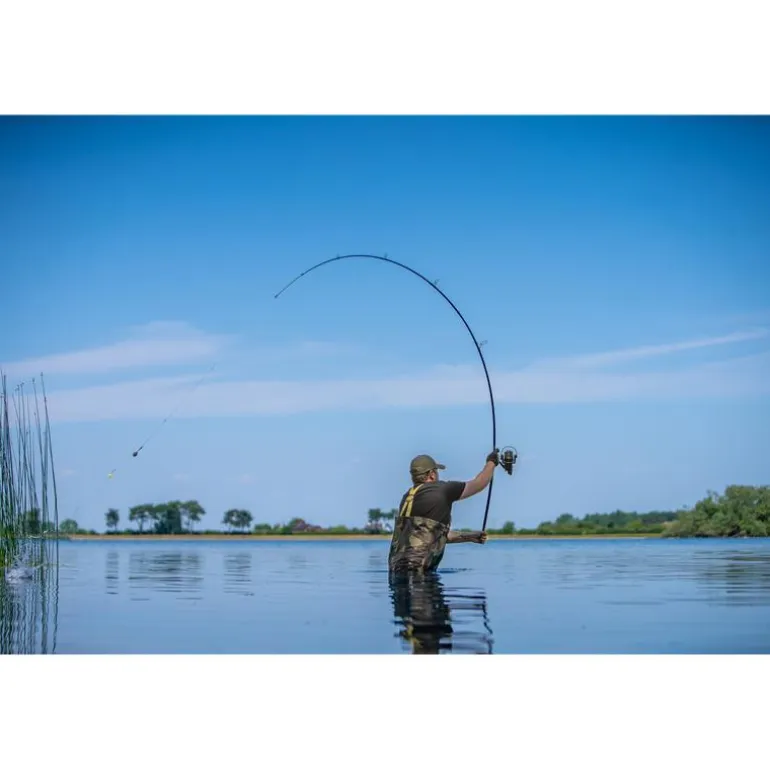 Canne Carpe Avid Carp Revolve Rods 3G