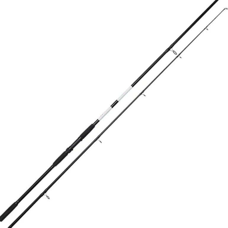 Canne Carpe Dam Base-X Carp 3G