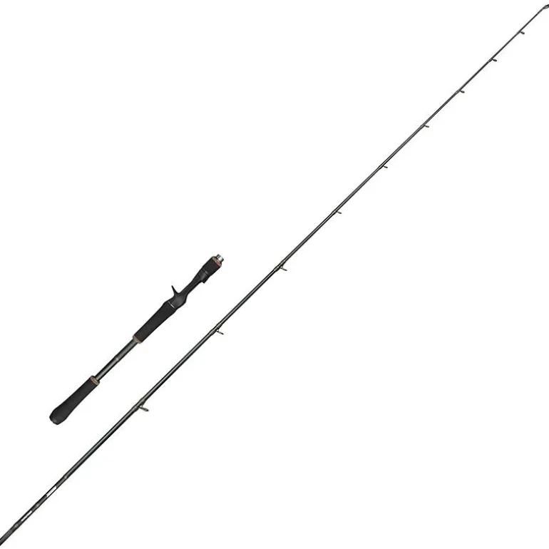 Canne Casting Abu Garcia Beast X2 1+1