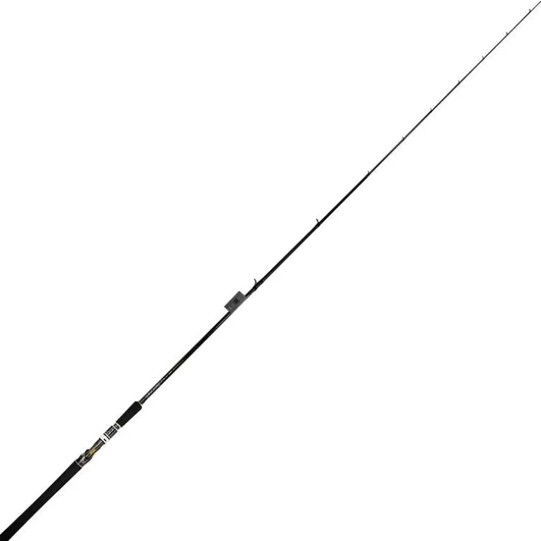 Canne Casting Biwaa The Divinator 76Xh