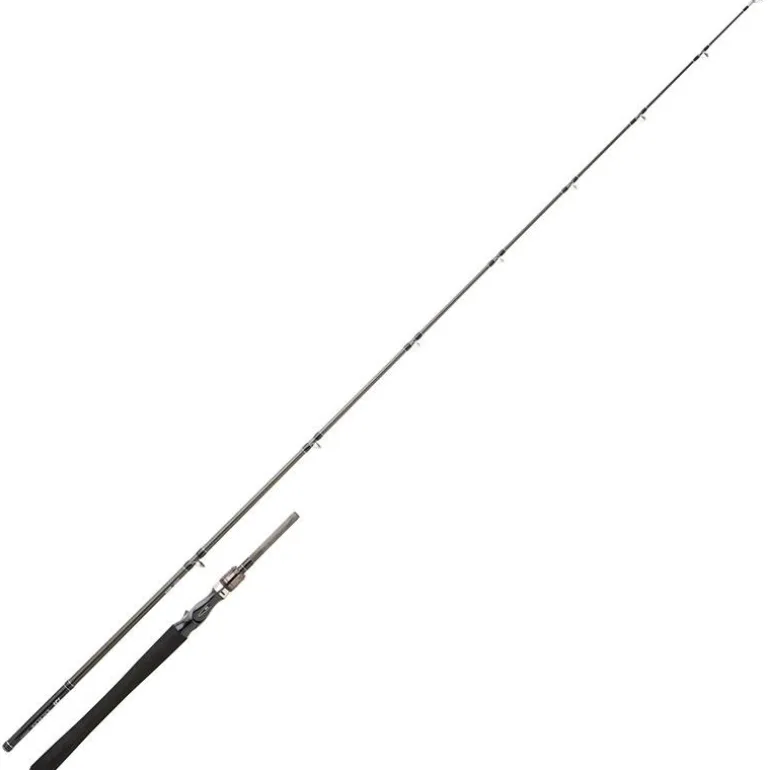 Canne Casting Daiwa Exceler Casting 1+1