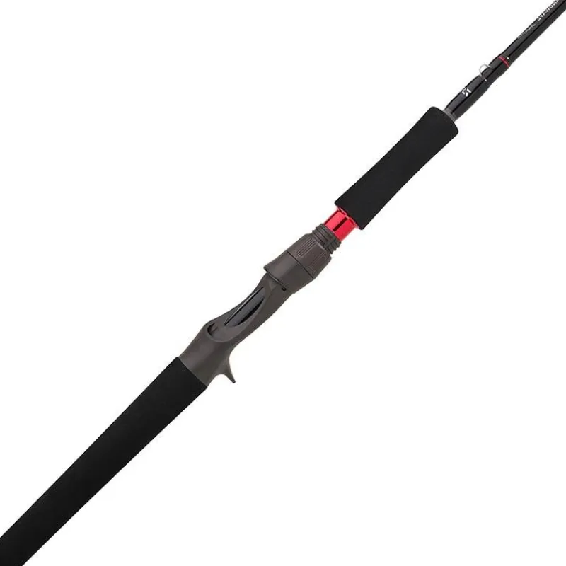 Daiwa Cannes Mer^Canne Casting Grandwave
