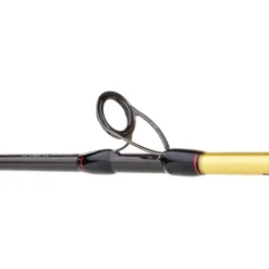 Daiwa Cannes Mer^Canne Casting Grandwave