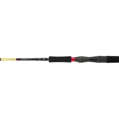 Daiwa Cannes Mer^Canne Casting Grandwave
