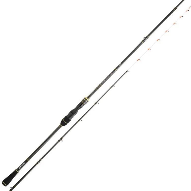 Canne Casting Daiwa Team Daiwa Tenya