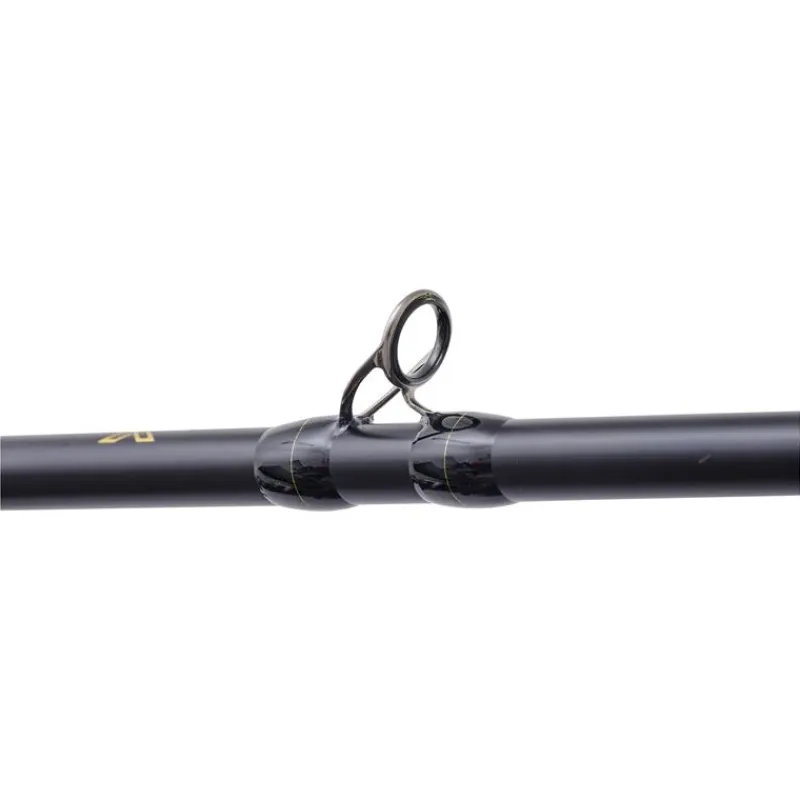 Illex Cannes Carnassier^Canne Casting The Artist X5 B 250 Xh Notorious Pike