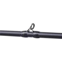 Illex Cannes Carnassier^Canne Casting The Artist X5 B 250 Xh Notorious Pike
