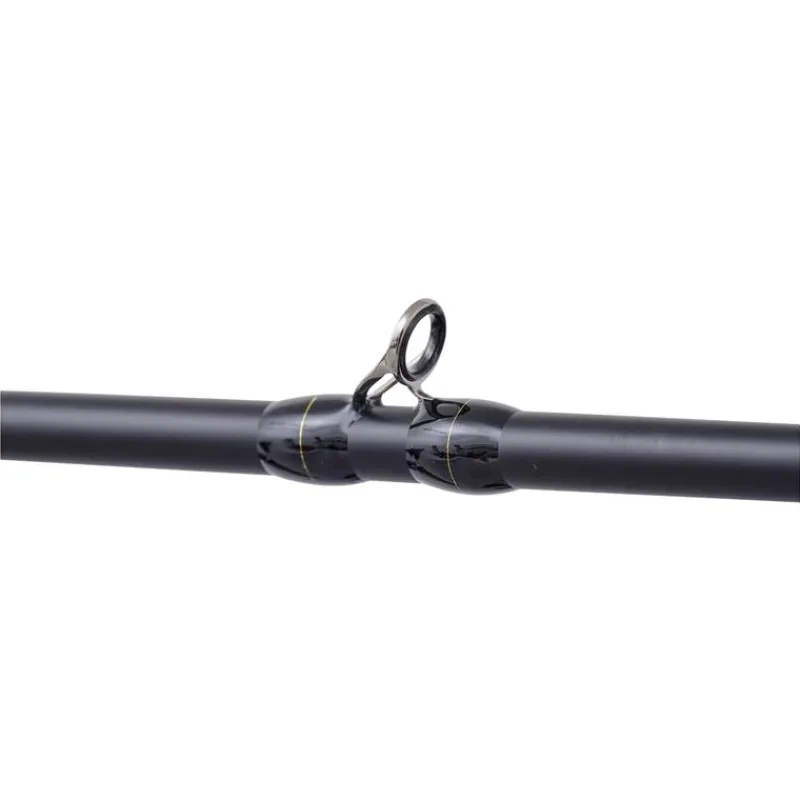 Illex Cannes Carnassier^Canne Casting The Artist X5 B 250 Xh Notorious Pike