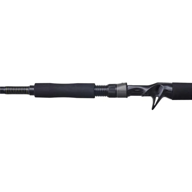 Illex Cannes Carnassier^Canne Casting The Artist X5 B 250 Xh Notorious Pike