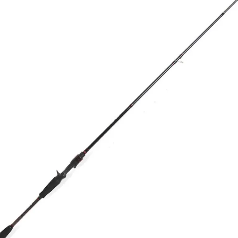Canne Casting Scratch Tackle Inclusive Cast