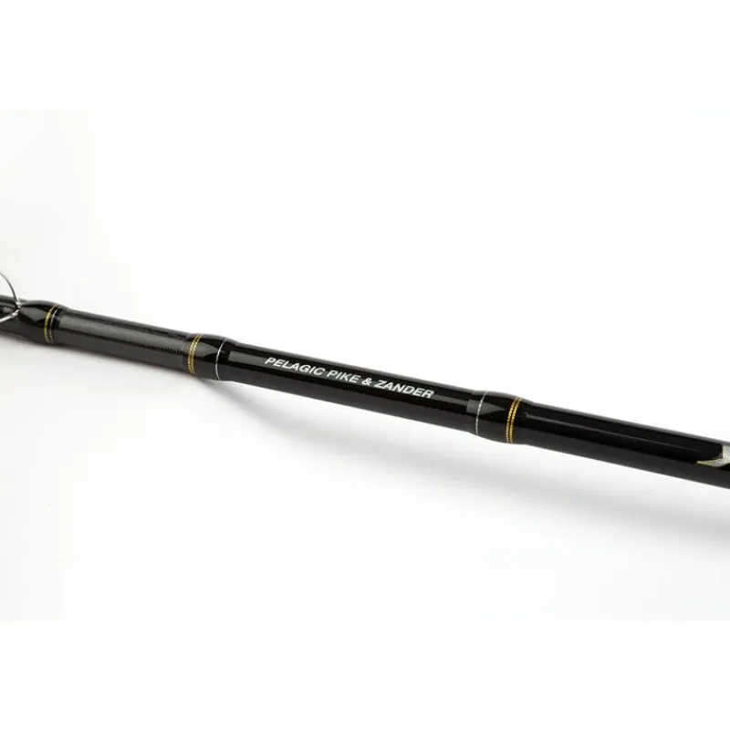 Shimano Cannes Carnassier^Canne Casting Yasei Ltd Pelag Pik&Zdr H