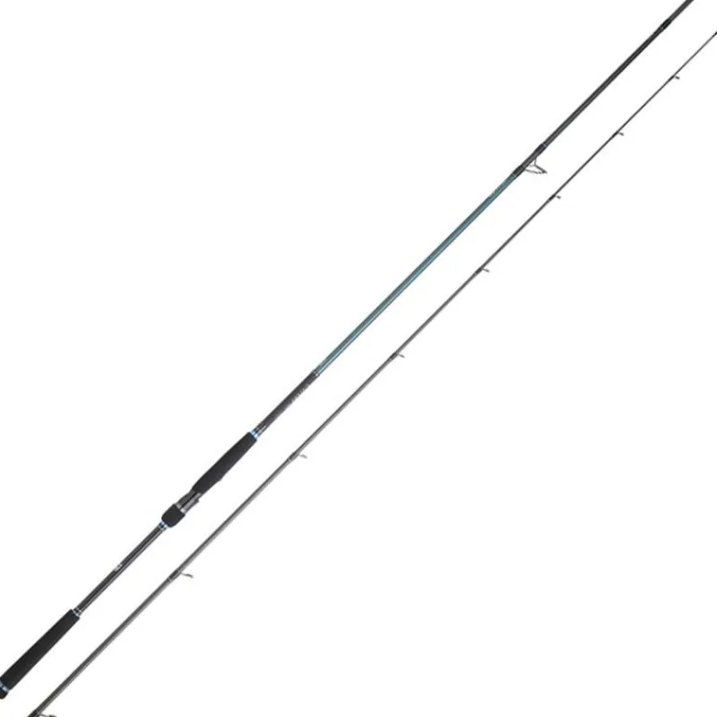 Daiwa Cannes Mer^Canne Caldia Seabass