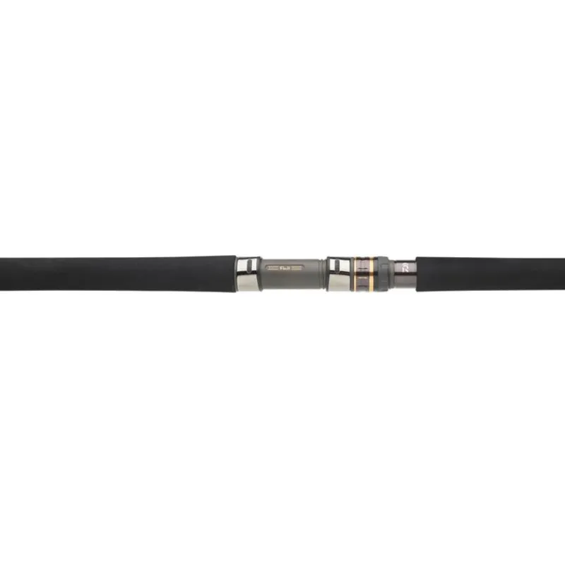 Daiwa Cannes Mer^Canne Morethan Branzino Expert