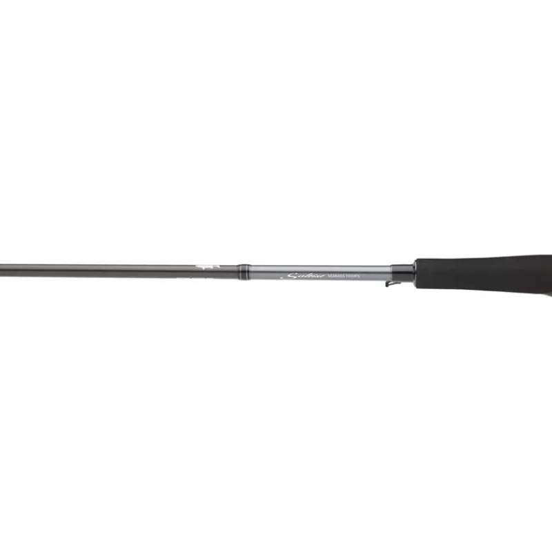 Daiwa Cannes Mer^Canne Saltist Seabass