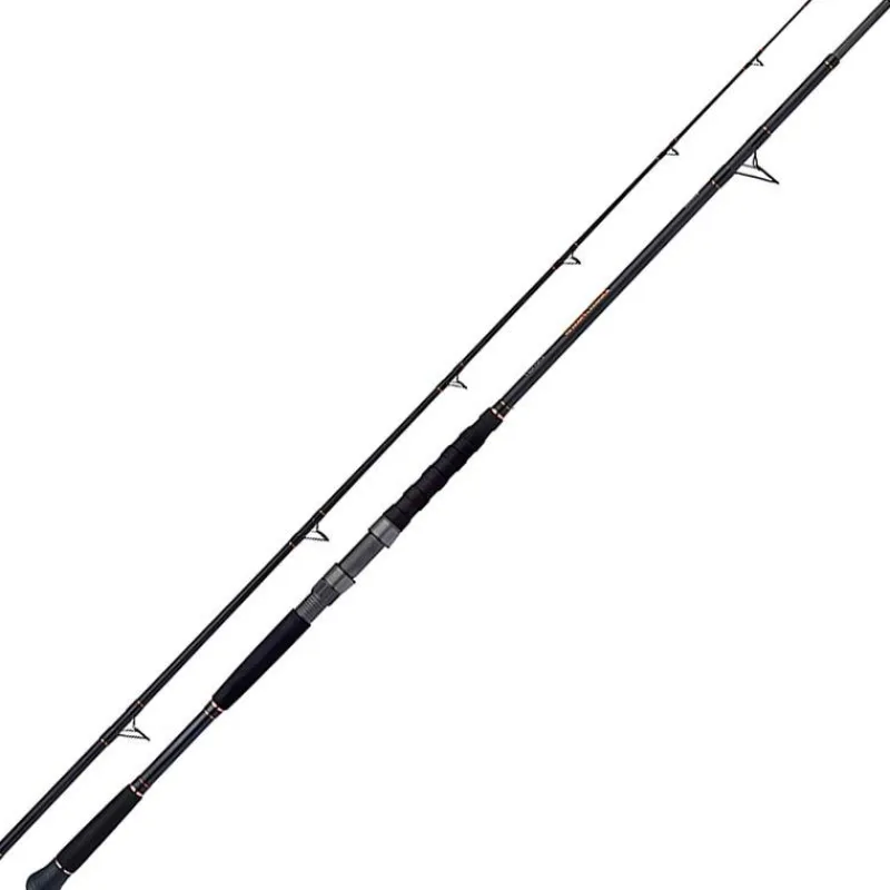Shimano Cannes Silure^Canne Beastmaster Ax Catfish Lure
