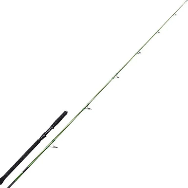 Canne Silure Madcat Green Spin