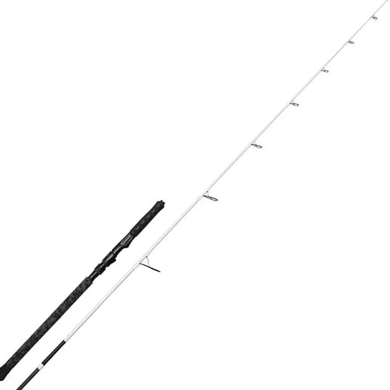 Canne Silure Madcat White Light Spin 210