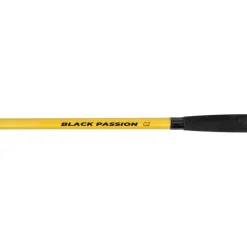 Black Cat Cannes Silure^Canne Spinning Black Passion G2 Long Ranger