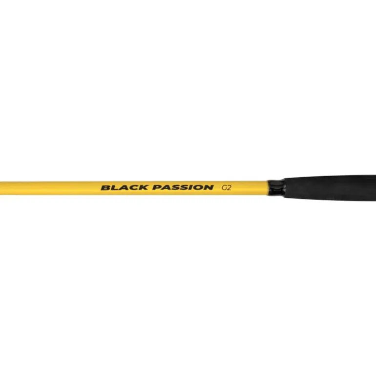 Canne Spinning Black Cat Black Passion G2 Bank