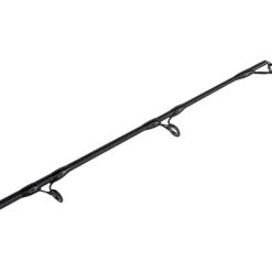 Canne Spinning Black Cat Black Passion G2 Bank