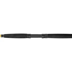 Canne Spinning Black Cat Black Passion G2 Bank