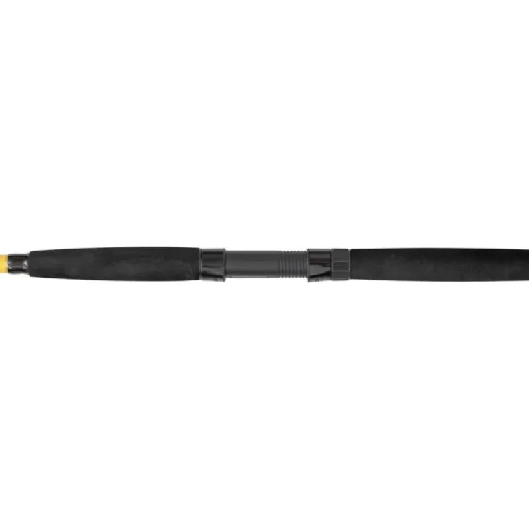 Canne Spinning Black Cat Black Passion G2 Bank