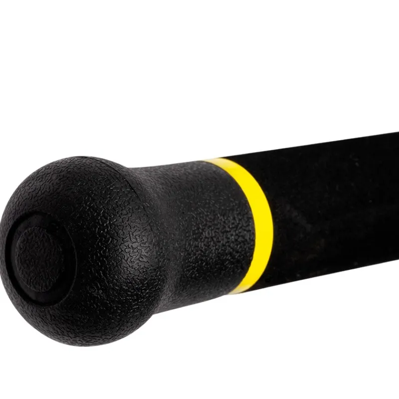 Black Cat Cannes Silure^Canne Spinning Canne Freestyle Pro Spin