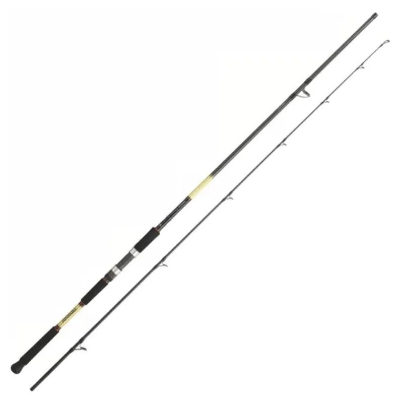 Daiwa Cannes Mer^Canne Spinning Grandwave Shore Jig