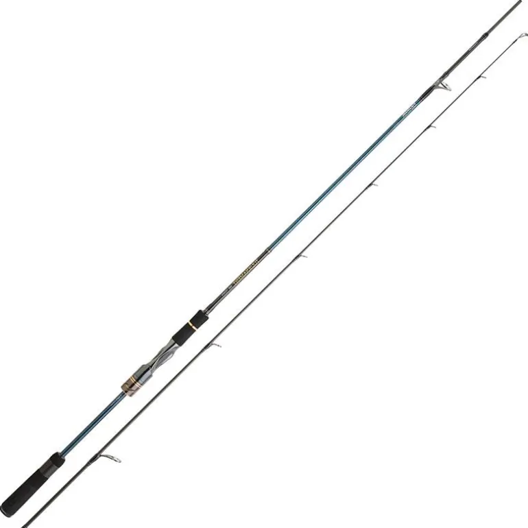 Canne Spinning Daiwa Tournament Ags