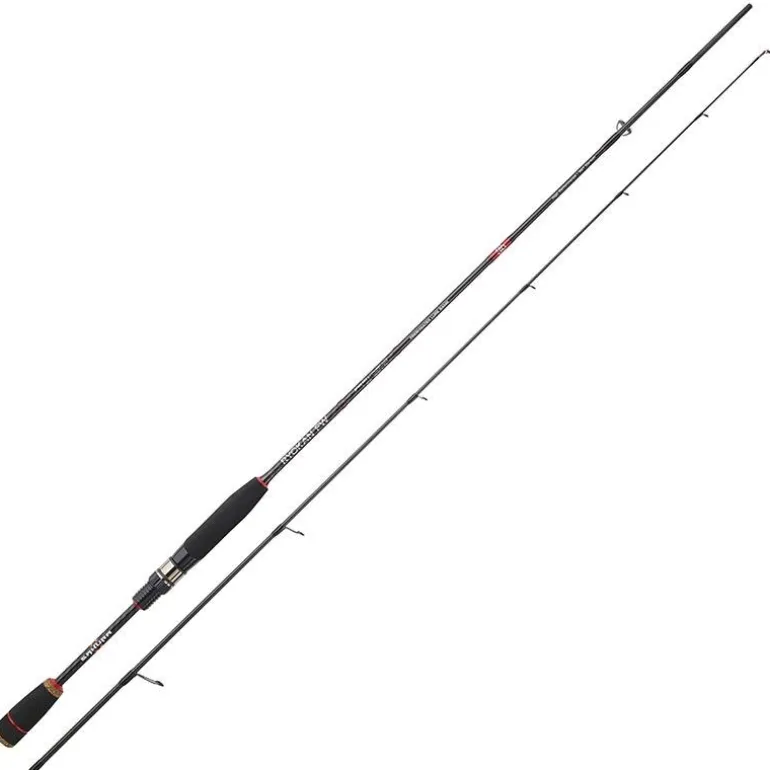 Canne Spinning Sakura Ryokan Fw