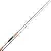 Trout Master Cannes Truite^Canne Spinning Passion Trout Spin