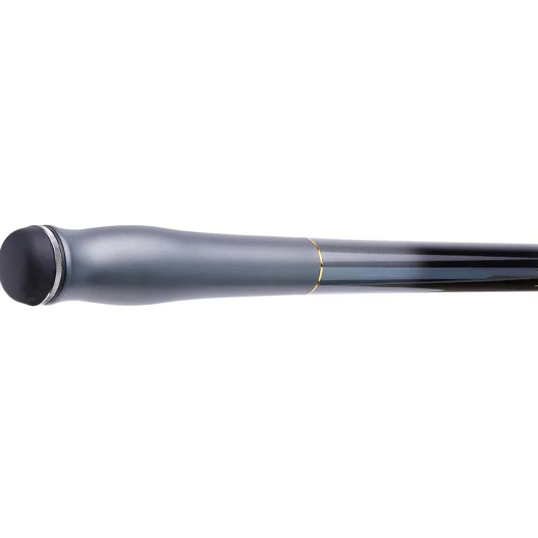 Canne Surf Daiwa Tournament Competition Z