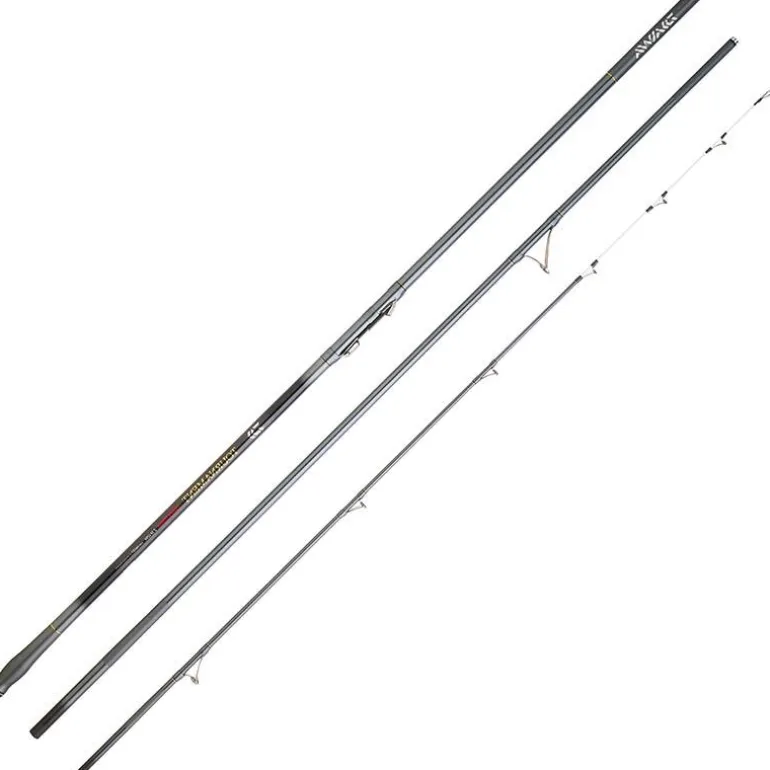 Canne Surf Daiwa Tournament Competition Z