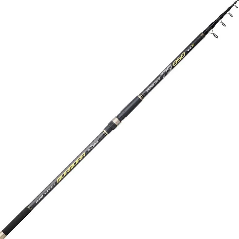 Canne Surf Téléscopique Sunset Mormora Ts 050
