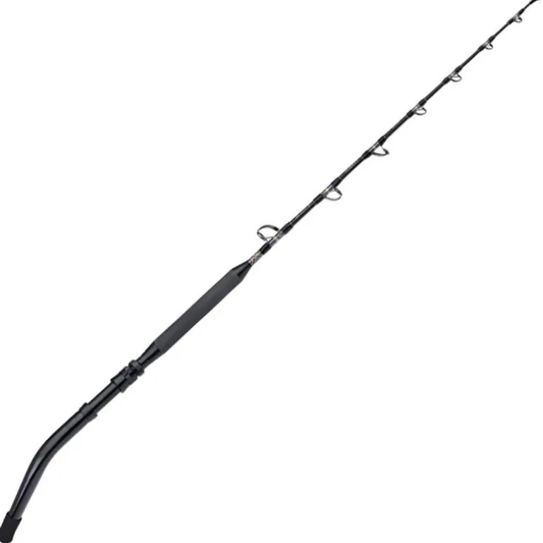 Canne Traîne Shimano Tyrnos B Standup Spiral