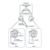 Casque Micro Sena Noir Mesh Intercom, Full Duplex Et Bt