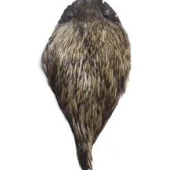 Cou De Coq Devaux Dvx Top Grade Teint