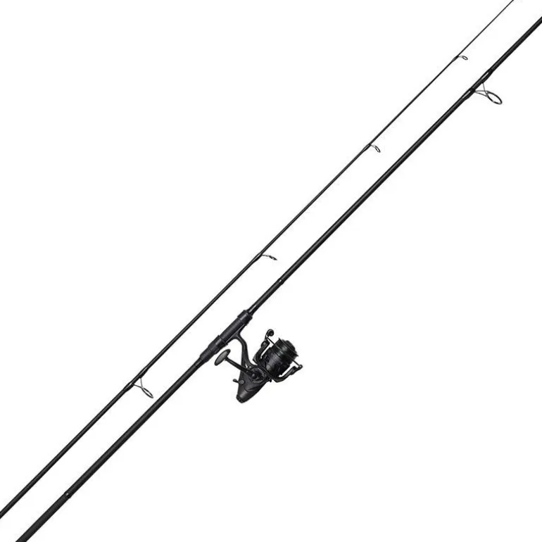 Ensemble Carpe Dam Charger Carp 10Fs Combo