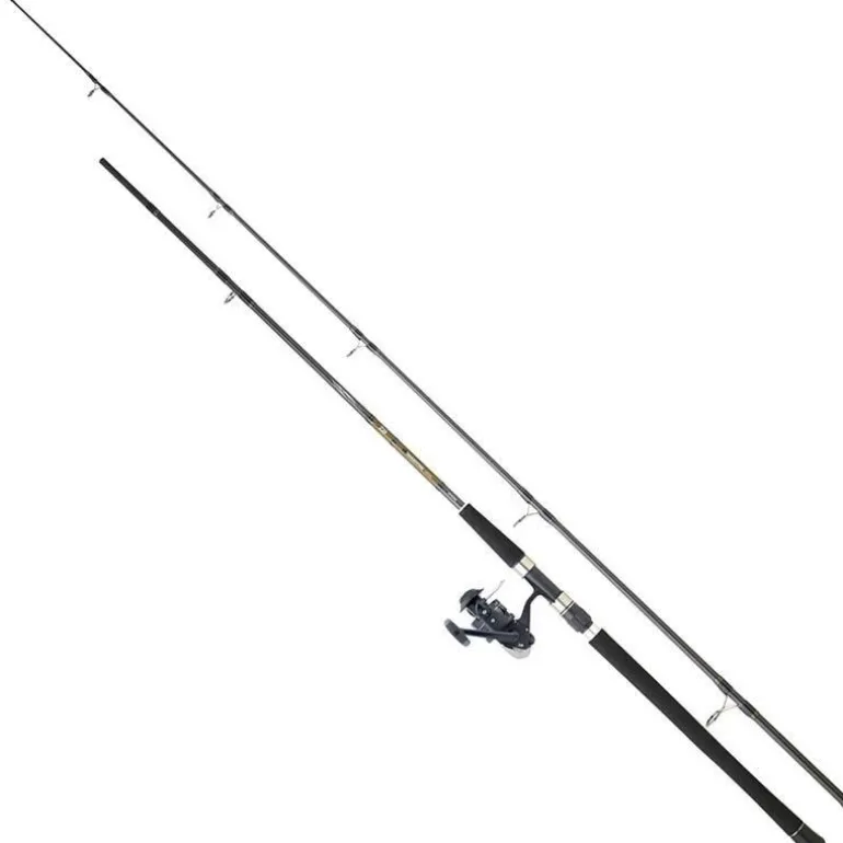 Ensemble Spinning Daiwa Set Silure 06