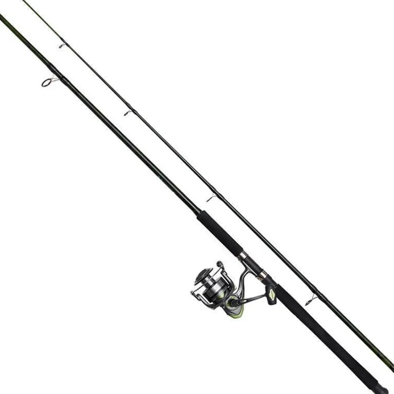 Ensemble Spinning Dam Full Cat Xp Combo Allround
