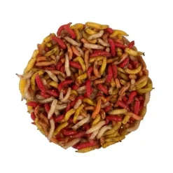 Gozzers Multicolores