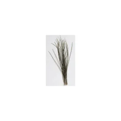 JMC Fly Tying^Herl De Paon Naturel