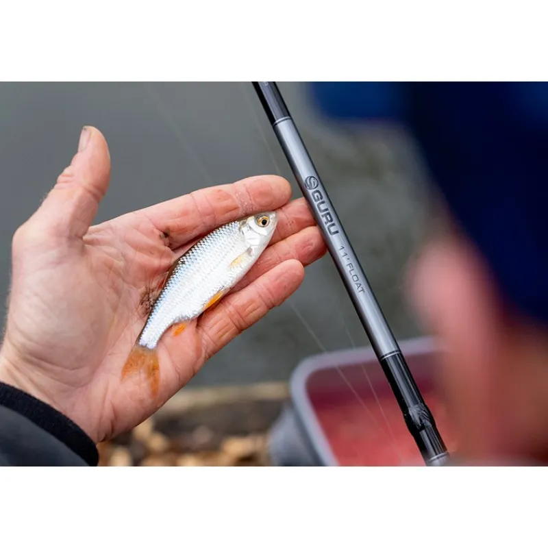 Guru Ensembles Coup & Anglaise^Kit De Pêche Float Rod & Reel Combo