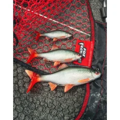 Leurre Souple Armé Fox Rage Ultra-Realistic Roach Replicant