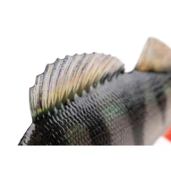 Leurre Souple Armé Fox Rage Ultra-Realistic Perch Replicant